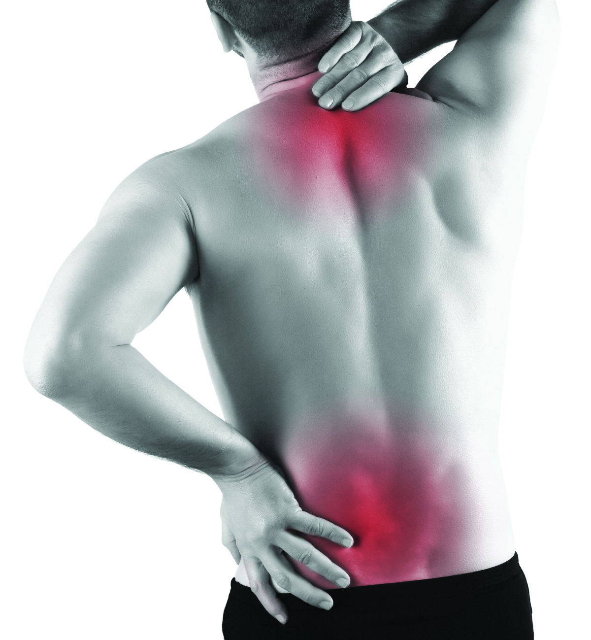 Back Brace Low Back Pain