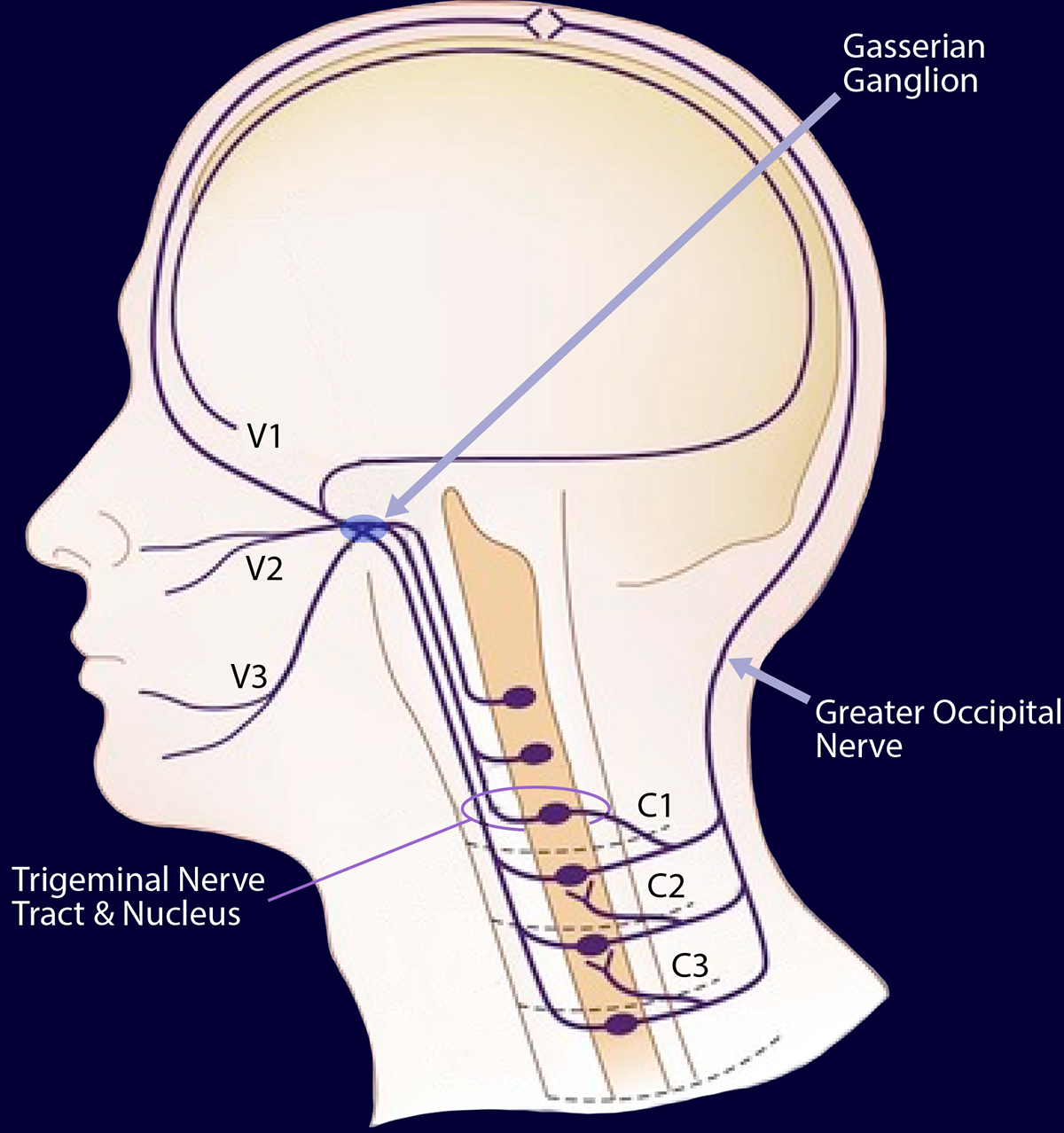 Headache And Migraine Ainsworth Ambulatory Surgery Center